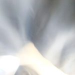 1845429156_170